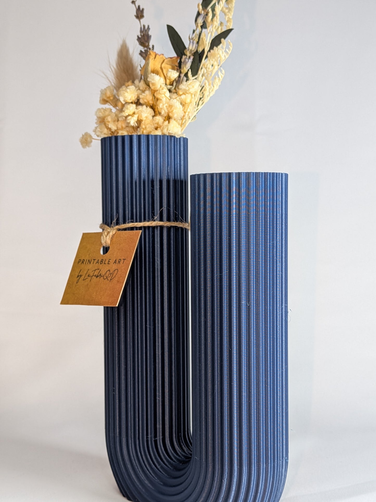 Vase Curvo - Vase imprimé en 3D en PLA pour Fleurs Séchées - Décoration Moderne & Écologique | Design Original